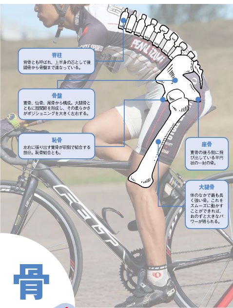 自転車 筋肉と関節 良くなる