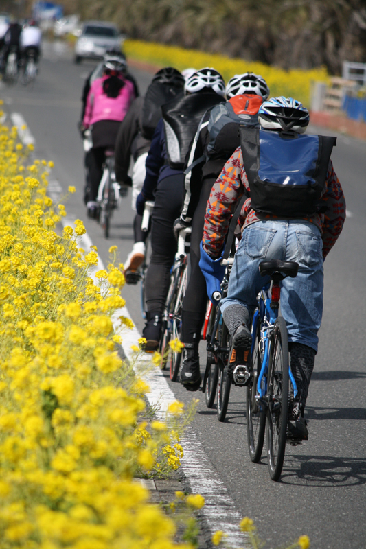 春の房総半島を自転車で楽しむモニターツアー 東京湾フェリーが２月に 