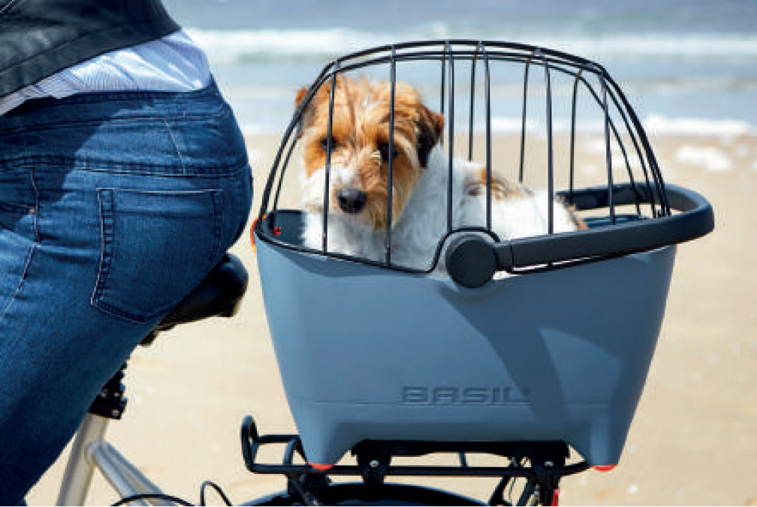 小型犬とサイクリング バジルの専用バスケット バディ サイクルスポーツのニュース サイクルスポーツ Jp