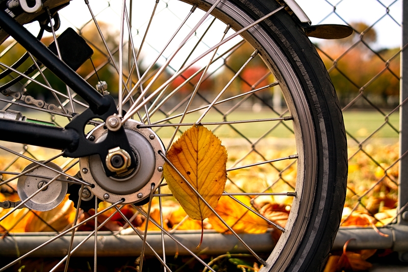 自転車 祭典