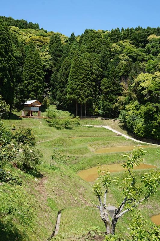 キャンプ地