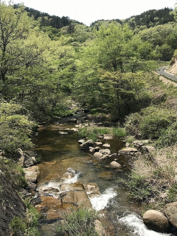 自然豊かで起伏に富んだ葛尾村。渓流が心地よい葛尾川の側も含めたオンロードがコースとなる