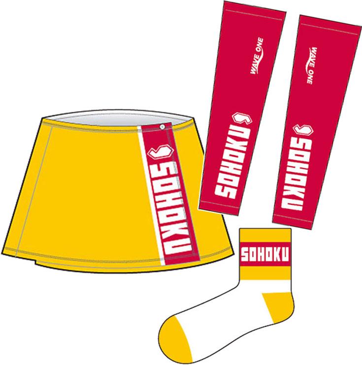 2014 JAPANCUP記念半袖ジャージ記念ビブショーツ