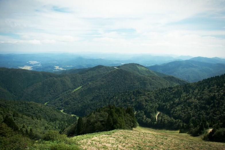 ゴンドラ山頂付近からコースを見下ろす