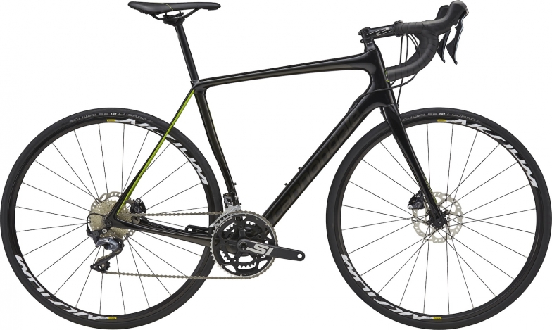 synapse_ultegra.jpg?itok=W-_JbMjr