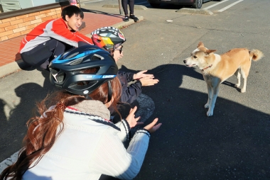 皆で放し飼いされていた犬を可愛がる。同世代ならではのノリの良さがある　Photo：大宅陽子