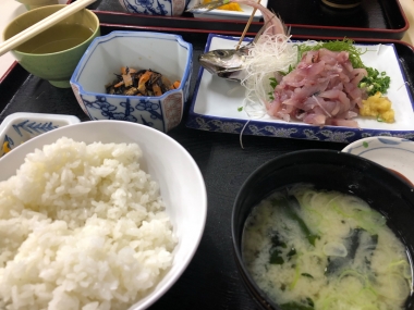 小田原漁港の魚市場食堂で朝食。小田原と言えばアジ。帰国後の胃袋には白米と味噌汁が沁みます
