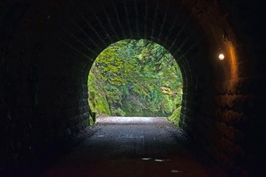 オススメのサイクリングスポット： 旧天城トンネル（天城山隧道）