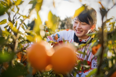 「友浦園芸（柑橘スポット）」では柑橘狩りを楽しむことも。園長のお母さんに教えてもらいながら、豊富な柑橘類を収穫した。その場で食べることも！