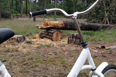森の中をサイクリング中、倒木に彫刻された動物のオブジェを発見！