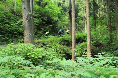 ロードバイクではとてもじゃないが味わえないような山道